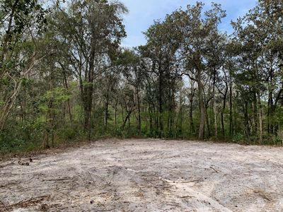 4065 Hall Boree Rd, Middleburg, FL, 32068
