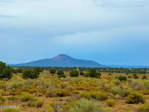 2080 S Avondale Road #-, Williams, AZ 86046