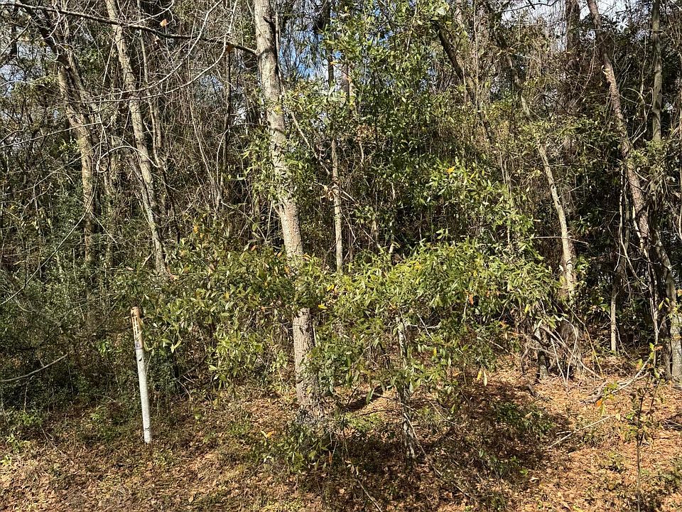 2nd image of 0 Robertson Blvd