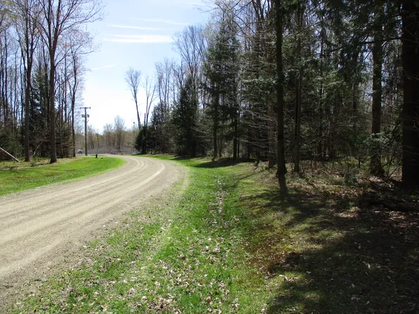 Peach Dr, Cyclone, PA 16726