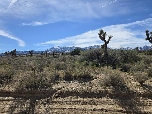 3rd image of Fort Tejon Rd
