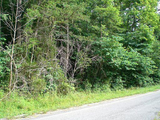 1st image of Lake Ln