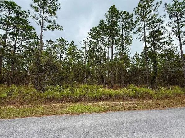 Dunellon Lot 19, Dunnellon, FL 34431
