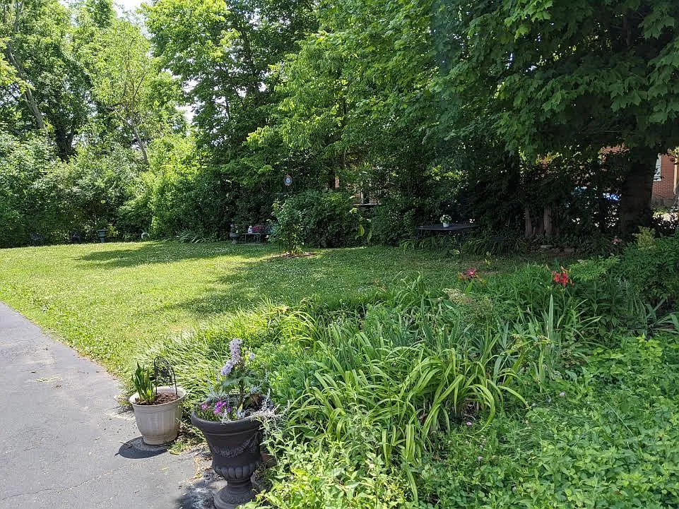 2714 Riedling Dr — Photo 3