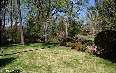 Lots of Grass and Space to Enjoy