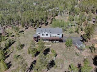 8391 S Warhawk Rd, Conifer, CO 80433
