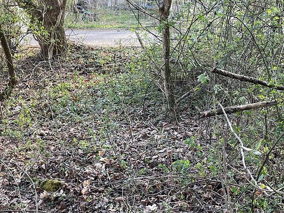 5th image of 0 Crowder Rd
