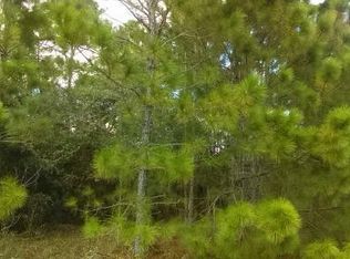 Water Rd, Clermont, FL 34714