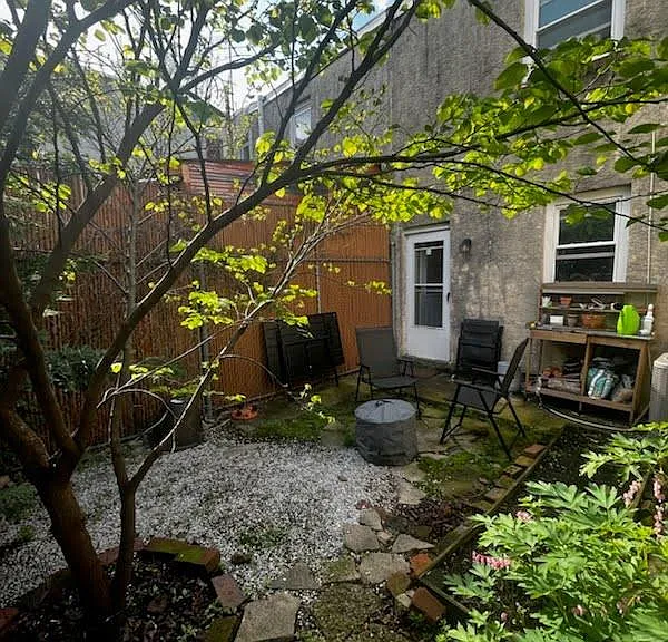 Back yard 2024