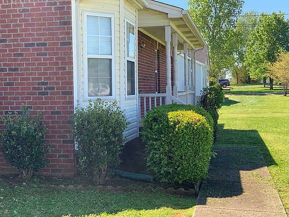 3rd image of 105 Cool Springs Dr