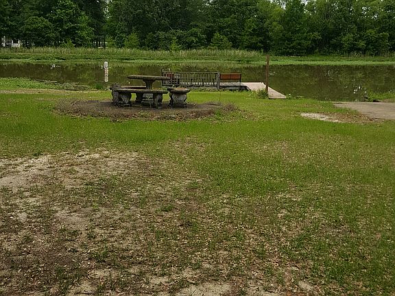 Backyard fr covered patio