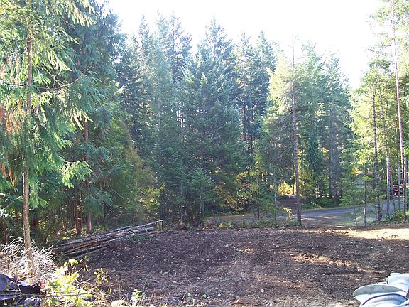 3rd image of 120 N. Duckabush Loop W.