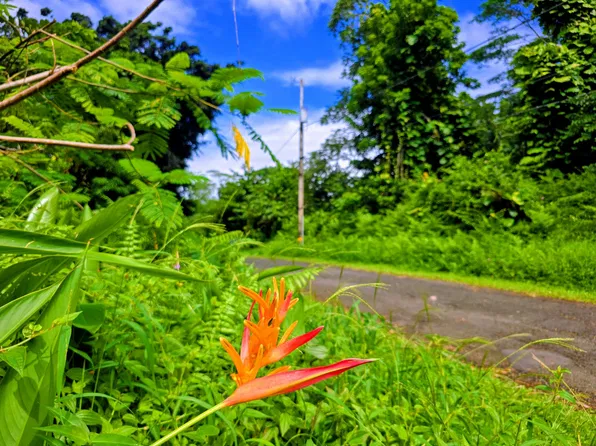 Ohiki St Lot 10, Pahoa, HI 96778