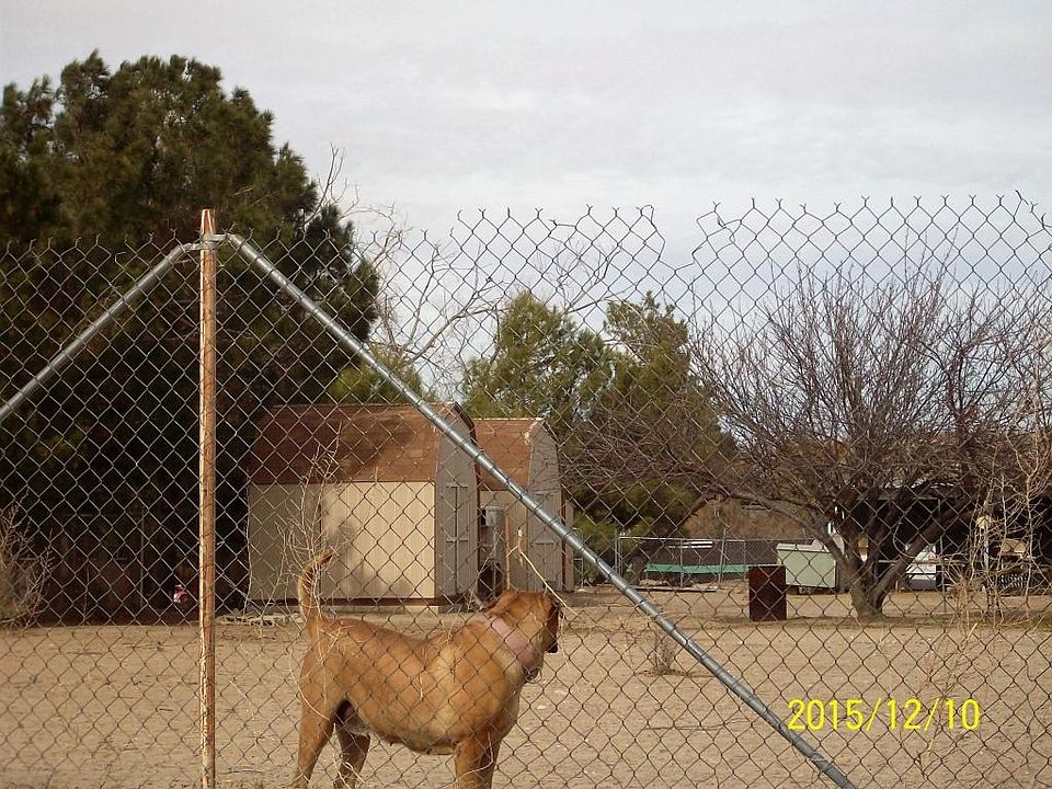 101_7801