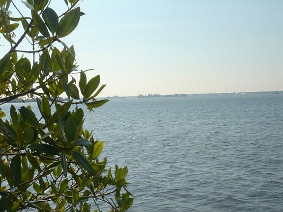 Walk to the River