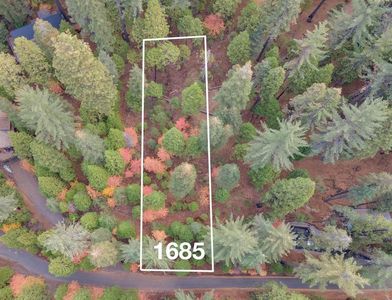 1685 Manzanita Dr, Arnold, CA, 95223