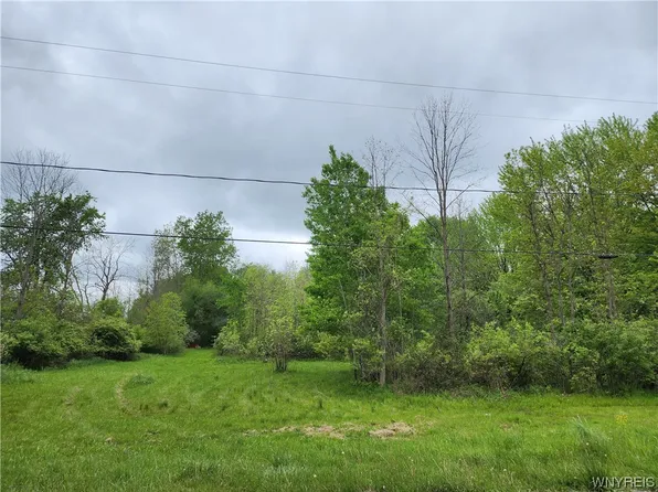 5528 E Shelby Rd #29, Medina, NY 14103