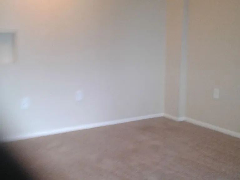 3421 S Downing St — Photo 27
