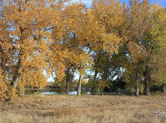 2nd image of 26020 County Road Dd