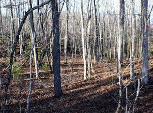 Little Italy Rd., Cass, WV 24927