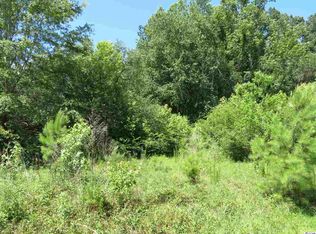 133 Wolf Dr, Georgetown, SC 29440