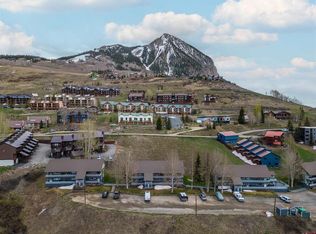 18 Crystal Rd #1B, Crested Butte, CO 81224