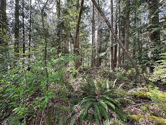 5th image of 0 Lot 9 Tyee Drive