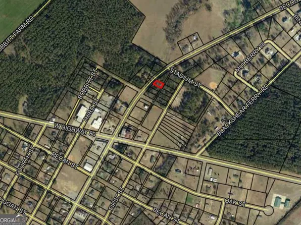 0 State Highway 338 Lot 4, Dudley, GA 31022