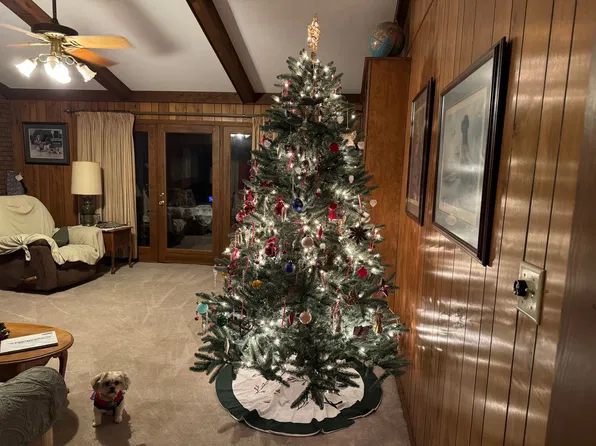 307 Salem School Rd, Collins, MS 39428