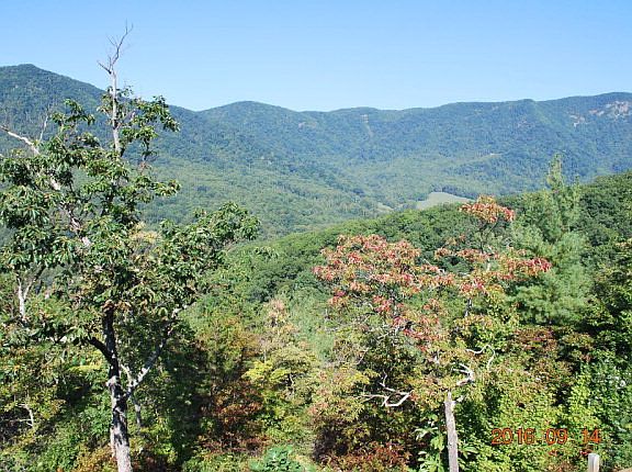 3rd image of 125 Cherokee Dr