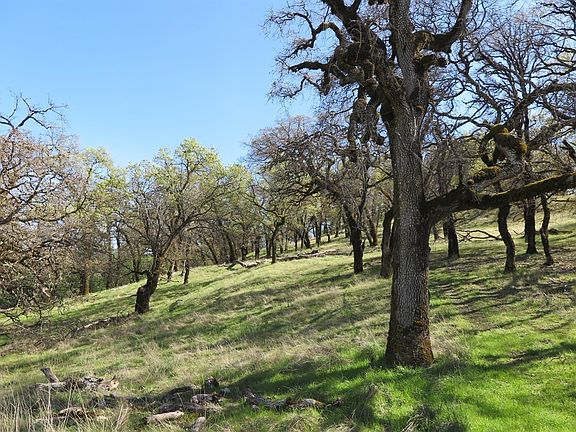 2nd image of 12950 Eagle Rock Road