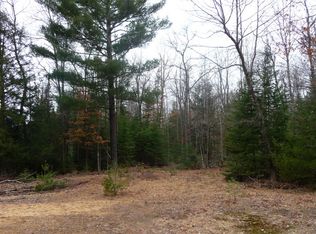 Tyler Plains Rd, Twining, MI 48766