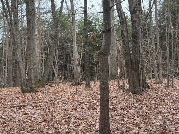 4 Harvest Hills Dr, Concord, VA 24538