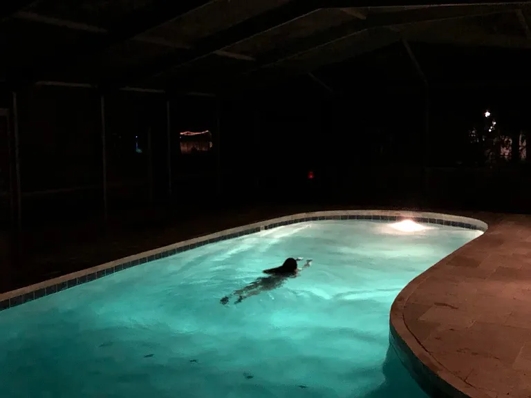 544 NW Fern Dr — Photo 10