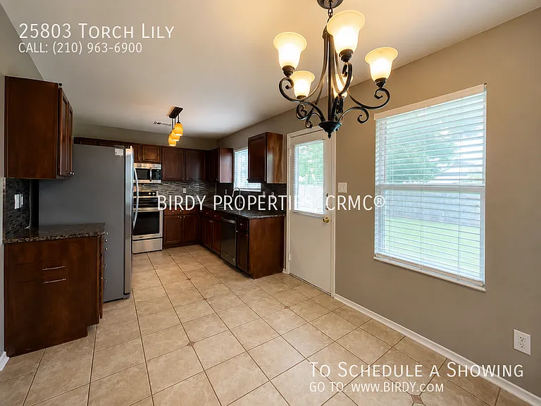 25803 Torch Lily — Photo 17