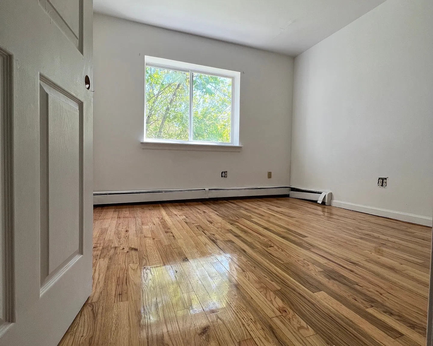 3 bed, 1.0 bath, $3,300 — Photo 3