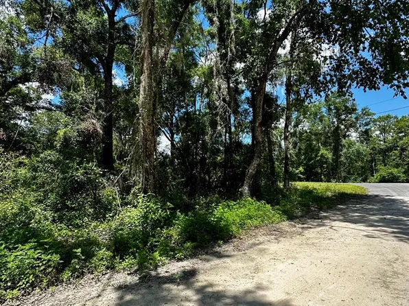 0 SE Hwy 317, Old Town, FL 32680