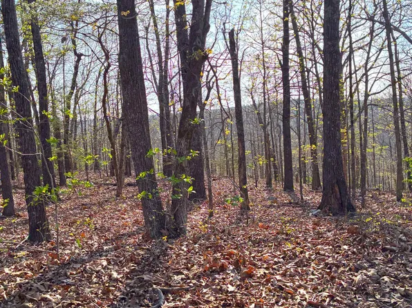 Wewaka Dr, Cherokee Village, AR 72529