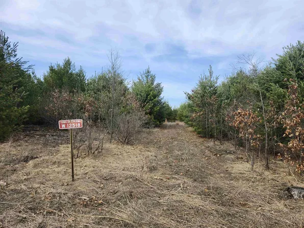 Czech Ave, Coloma, WI 54930