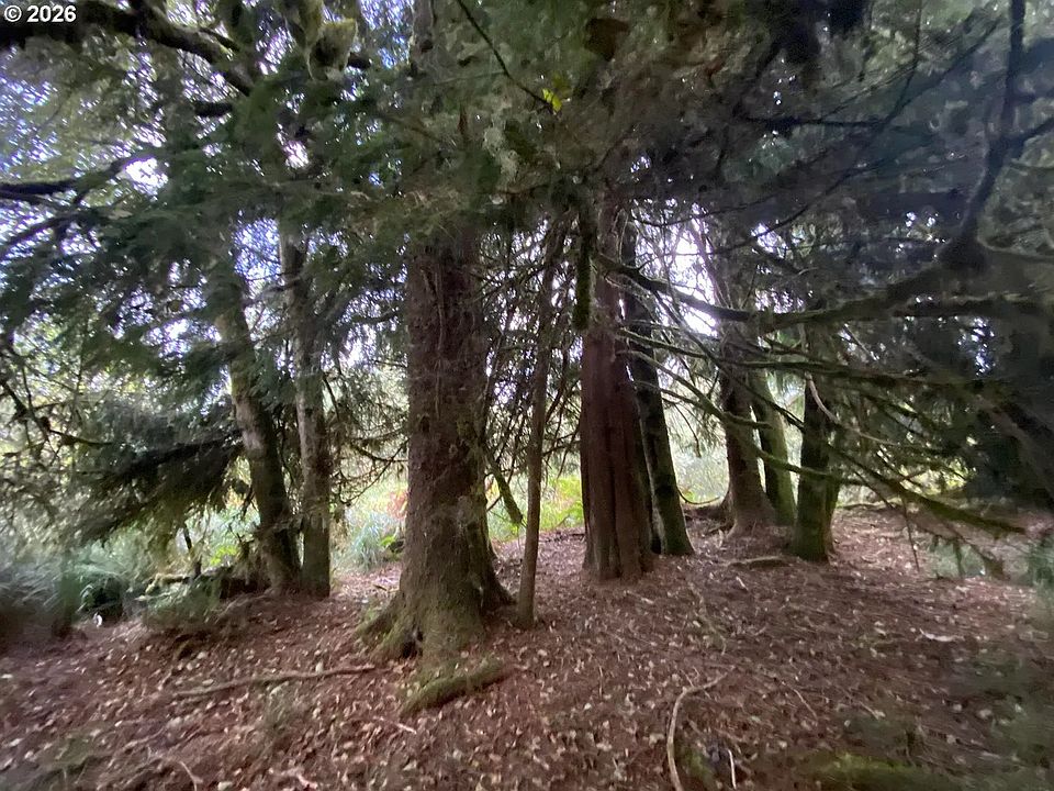 1st image of Nna Dellmoor Loop
