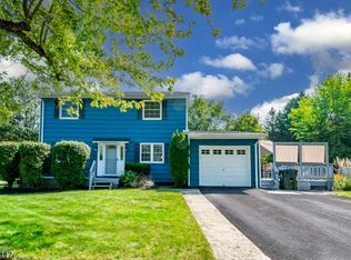 1 Briar Ct, Flanders, NJ 07836