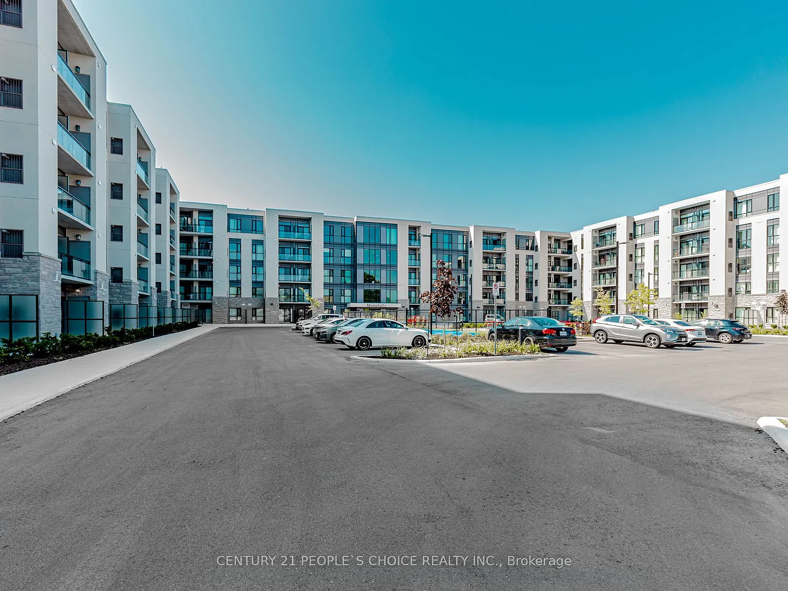 1 bed, $1,850 — Photo 1