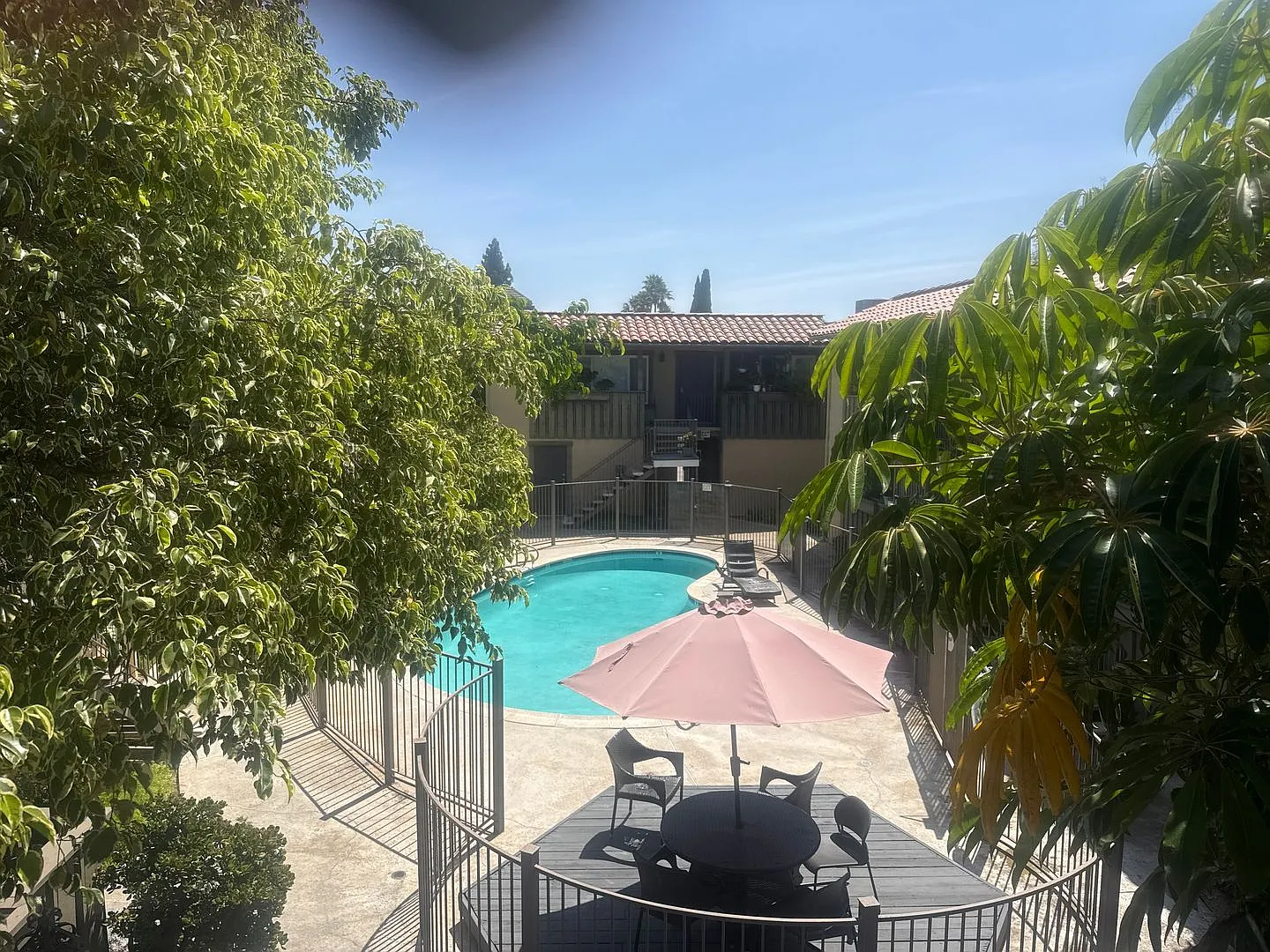 La Paloma — Photo 4