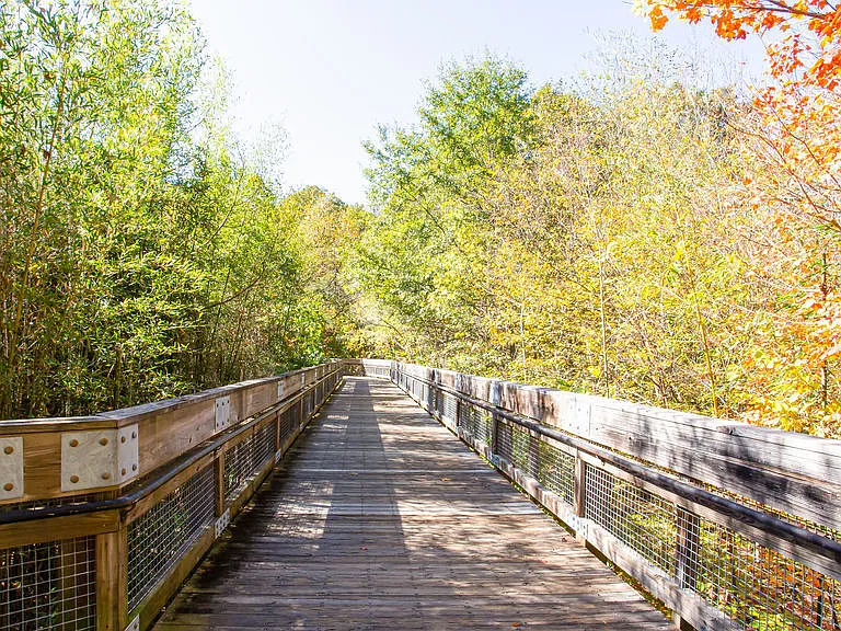 Preserve at Mill Creek — Photo 17