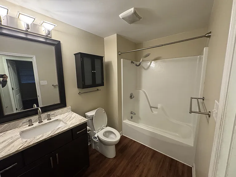 Hall bathroom