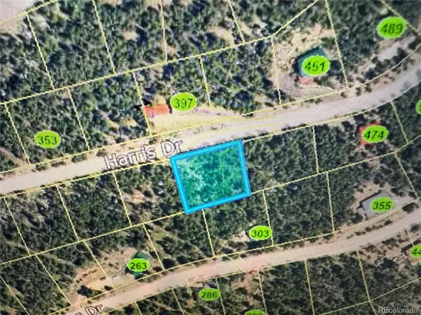 1010 Harris Drive, Idaho Springs, CO 80452