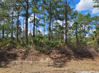 1123 Lincoln Ave, Lehigh Acres, FL 33972