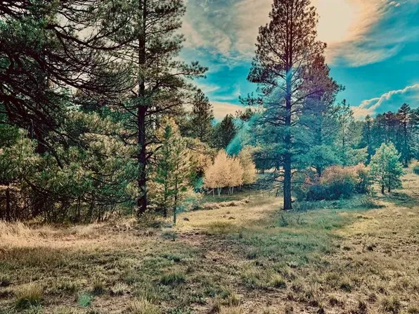 3898 N Pagosa Boulevard, Pagosa Springs, CO 81147