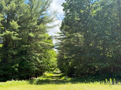 Wayne Ave, Pentwater, MI, 49449