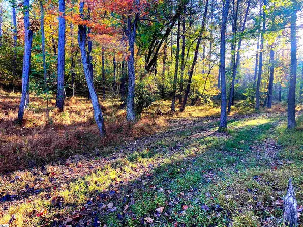 0 Craigo Rd Tract B, Fountain Inn, SC 29644